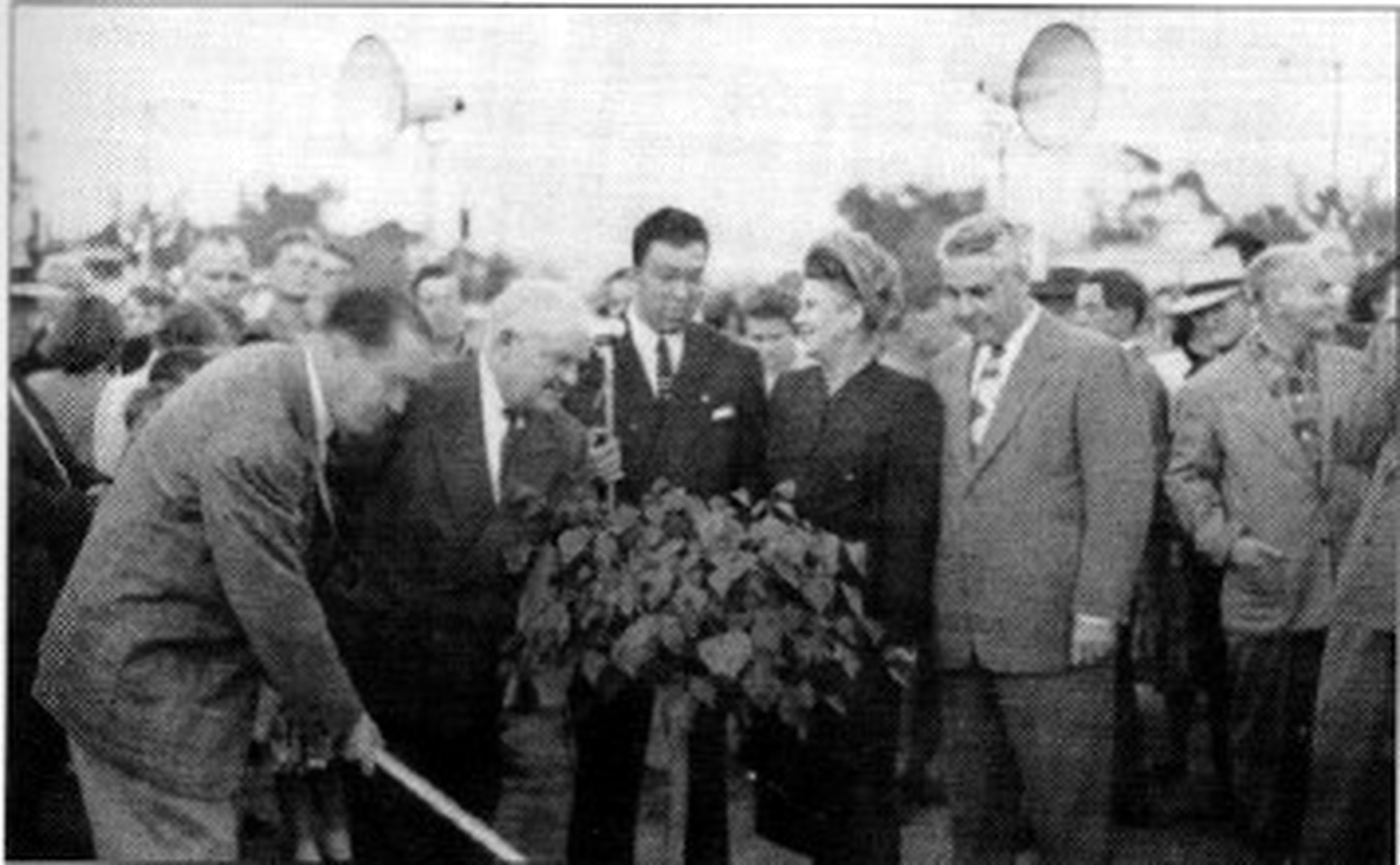 Beautifying San Vicente, 1949. Courtesy of the Brentwood Historical Society.
